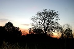 photo 0232
